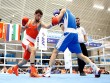 &quot;Böyük İpək Yolu&quot; turniri: 11 boksçumuz qızıl medalın bir addımlığında&nbsp;